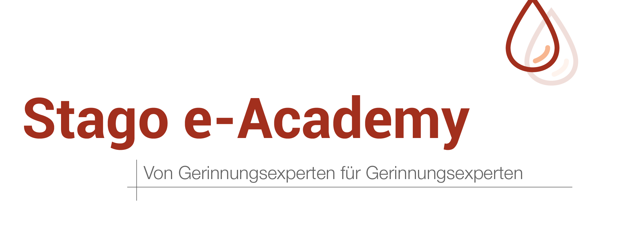 Stago e-Academy Logo